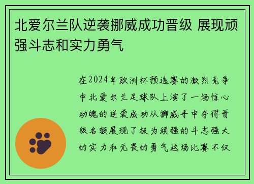 北爱尔兰队逆袭挪威成功晋级 展现顽强斗志和实力勇气